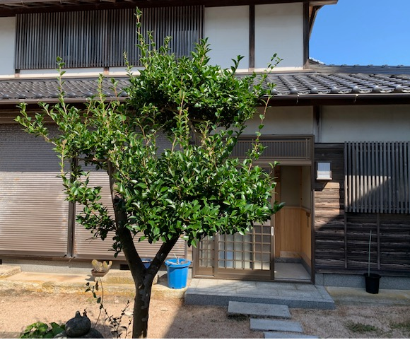売家【いい感じの造りです】丹後町間人