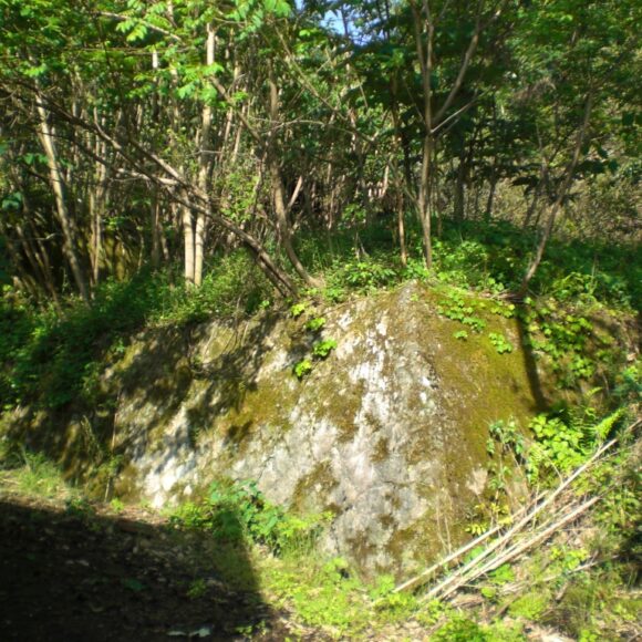 売地【宮津の別荘地】宮津市日置。