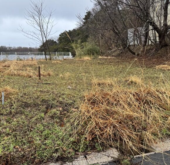 売地【静かな住宅地です。】網野町島津。