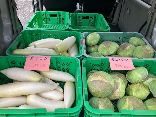 「事務所の前で、野菜の無人販売始めました。」
安売りですいません🙇
#無人販売 #キャベツ #大根
#直売所 #京丹後 #久美浜