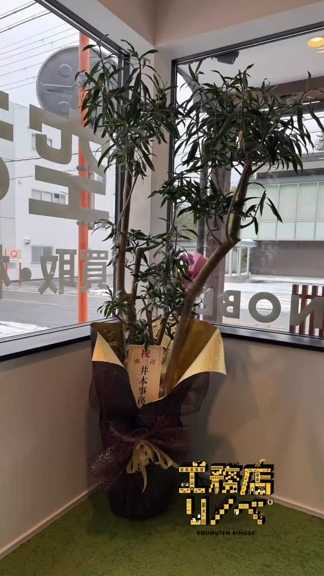 .
「本気で、空き家を減らす。」
— 工務店リノベ®︎ —
この度、空き家相談所を無事オープンさせていただきました。
多くの方に支えていただき、心より感謝申し上げます。
空き家に関するお悩みは一人で抱えず、ぜひご相談ください。
📩 DMはお気軽に！
無料相談やってます。
#京丹後リノベーション 
#京丹後リフォーム 
#京丹後空き家 
#京丹後工務店 
#京丹後不動産