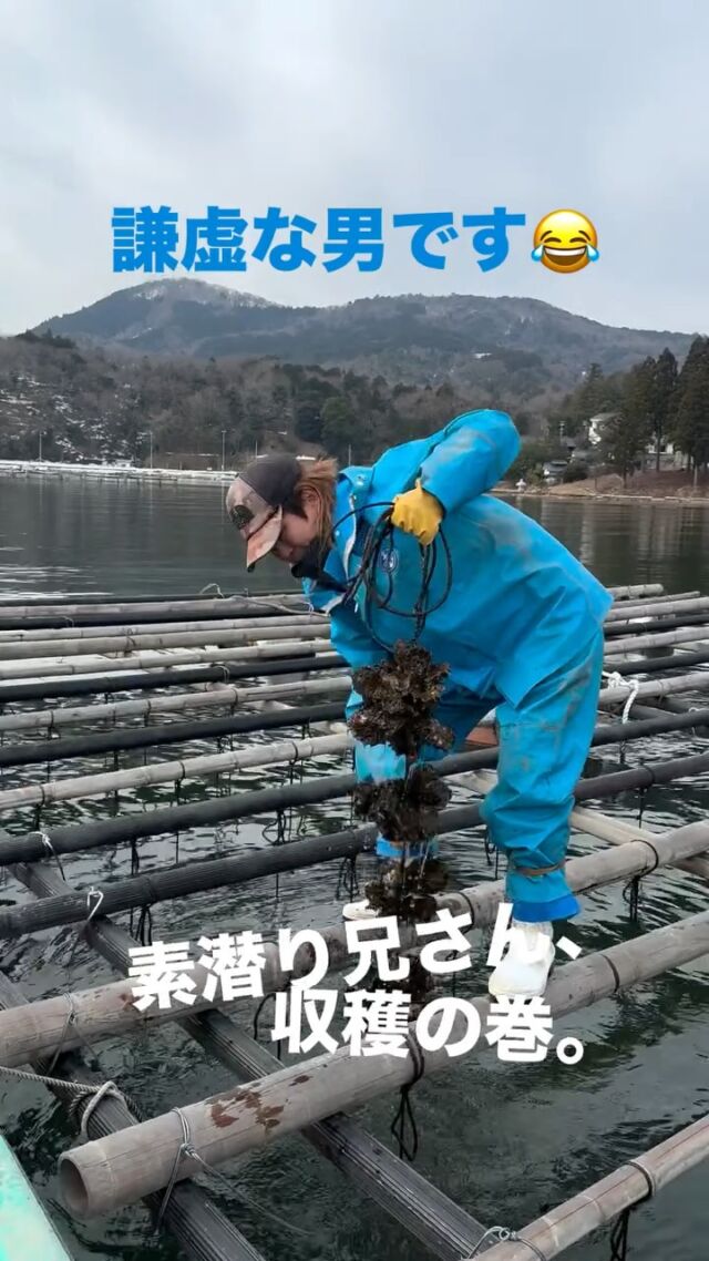 🦪
【素潜り兄さん｜収穫の巻】
今日も海に行って、
週末に向けて収穫。
－－－－－－－－
久美浜の海から上がった牡蠣は、
そのまま、
空き家を活用LABOで直売。
「週末、販売します。」
－－－－－－－－
空き家を、動かす。
ーー 工務店リノベ®︎ ーー
#LABOの人シリーズ 
#空き家LABO 
#京丹後
#素潜り漁
#牡蠣