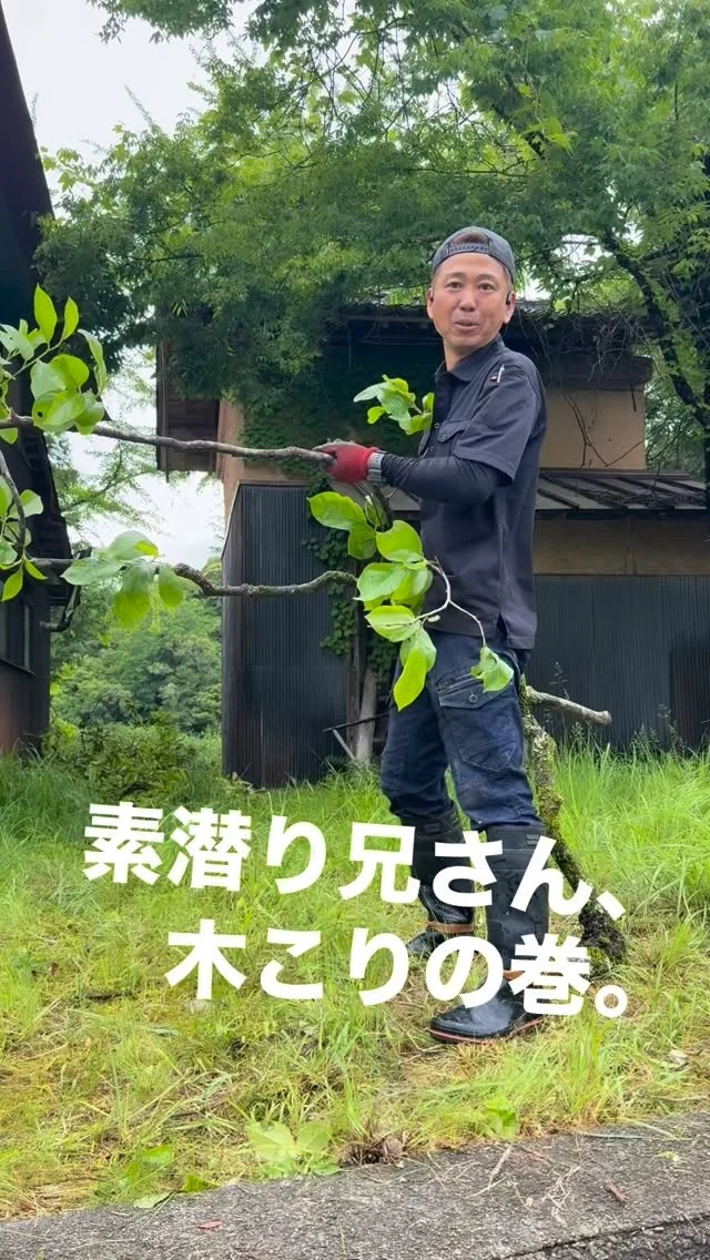 🌲
【素潜り兄さん、木こりの巻。】
今日は海ではなく、
古民家の裏庭へ。
－－－－－－－－
チェンソーは使わない。
でも、
運搬はお任せ。
切った木を運んで、
現場を動かす係。
海も山も、
今日も全力🪏
伐採のご用命は、
工務店リノベまで。
－－－－－－－－
空き家を、動かす。
ーー 工務店リノベ®︎ ーー
#LABOの人シリーズ
#京丹後
#木こり
#伐採
#空き家活用