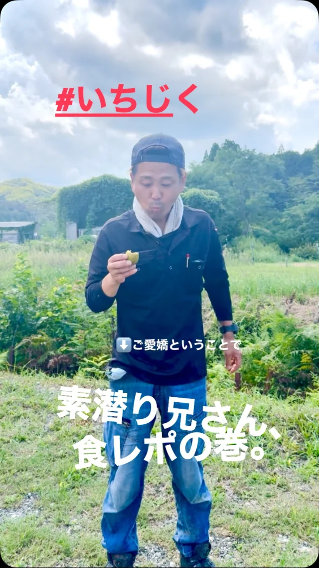 🍴
【素潜り兄さん、食レポの巻。】
今日は海でも、
現場でもなく、
イチジクを食べます。
－－－－－－－－
食べるの大好き。
美味しいもの大好き。
もちろん、
イチジクも大好き🤣
－－－－－－－－
旬のイチジク、
いただきます！
食レポ兄さん、
今回もしっかり仕事します。
－－－－－－－－
🙋‍♂️「これは、うまい！」
食べる仕事は、
やっぱり得意です🤣
－－－－－－－－
「暮らしをもっと、面白く。」
ーー 工務店リノベ®︎ ーー
#京丹後
#イチジク
#食レポ
#京丹後グルメ
#工務店リノベ